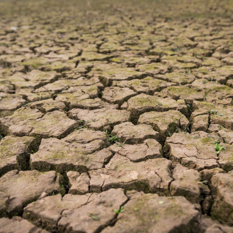 Como Evitar A Erosão Do Solo Em Sua Propriedade Terra De Cultivo 7633