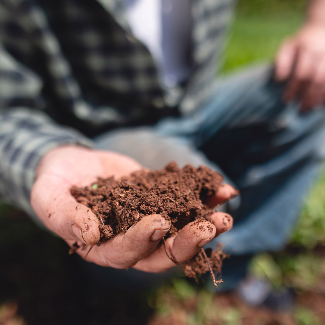 5 Passos Para Melhorar A Porosidade Do Solo Em Sua Lavoura Terra De Cultivo 2637