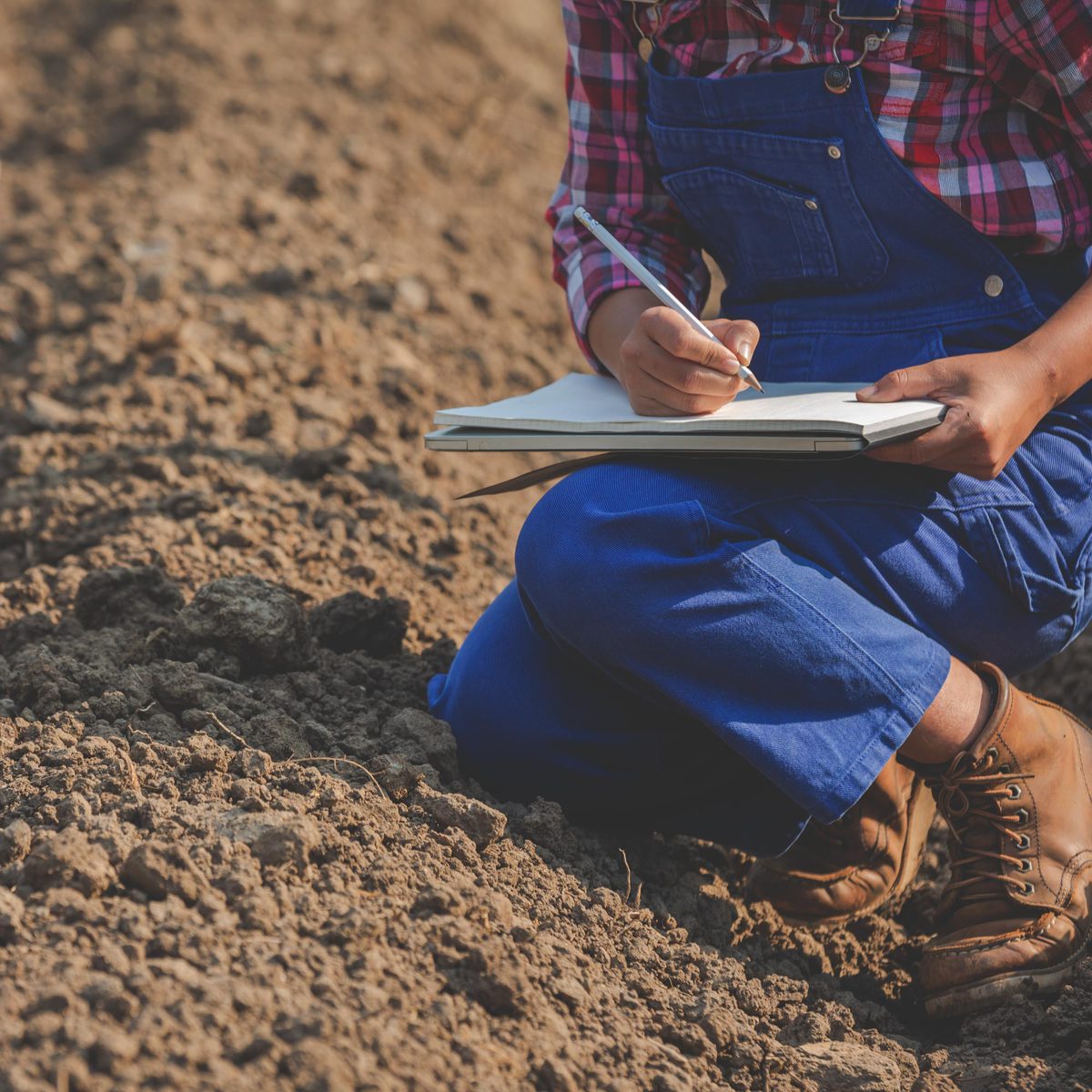 Correção Do Solo 5 Práticas Indispensáveis Para Sua Lavoura Terra De Cultivo 2131